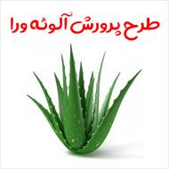 طرح پرورش آلوئه ورا