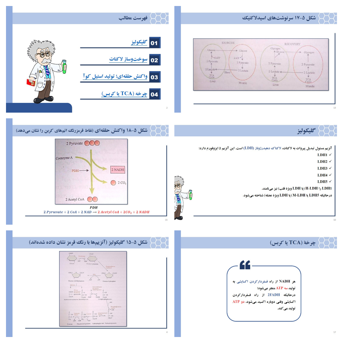 پاورپوینت بیوشیمی